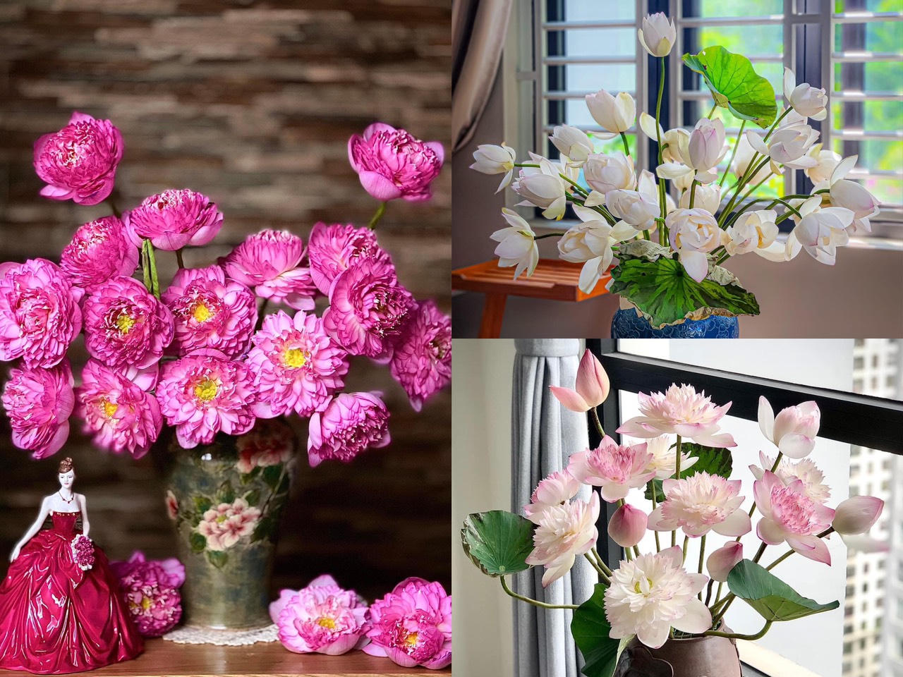 Mùa sen tháng 6 “đánh thức” giác quan