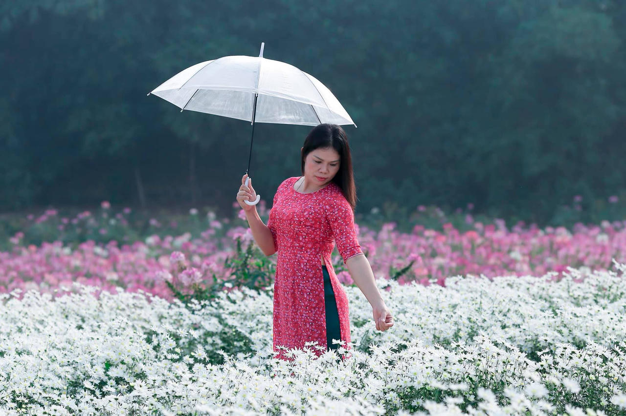 Hồ Tây - nơi tình yêu bắt đầu