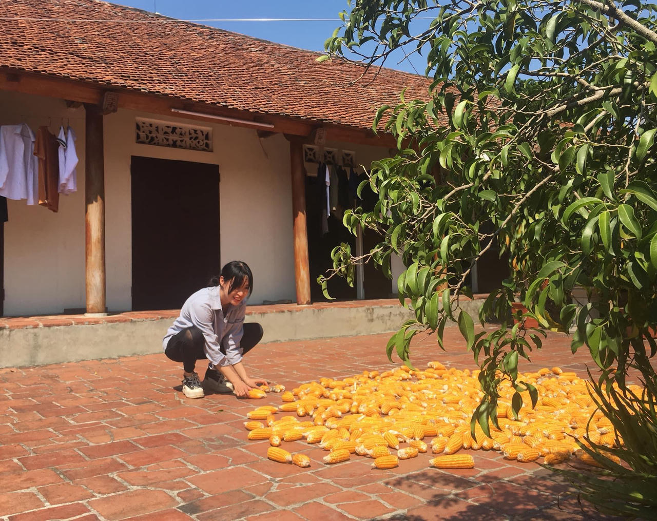 Tuổi trẻ, nghề báo và pháp luật