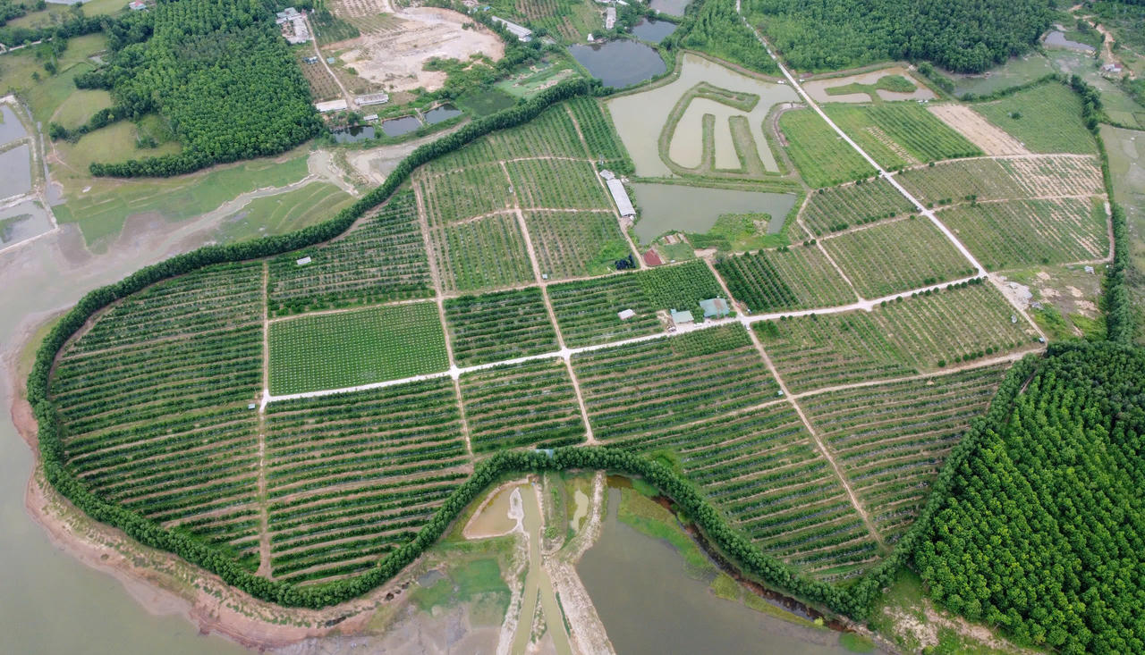 Trang trại xanh trên vùng 'đất lửa'