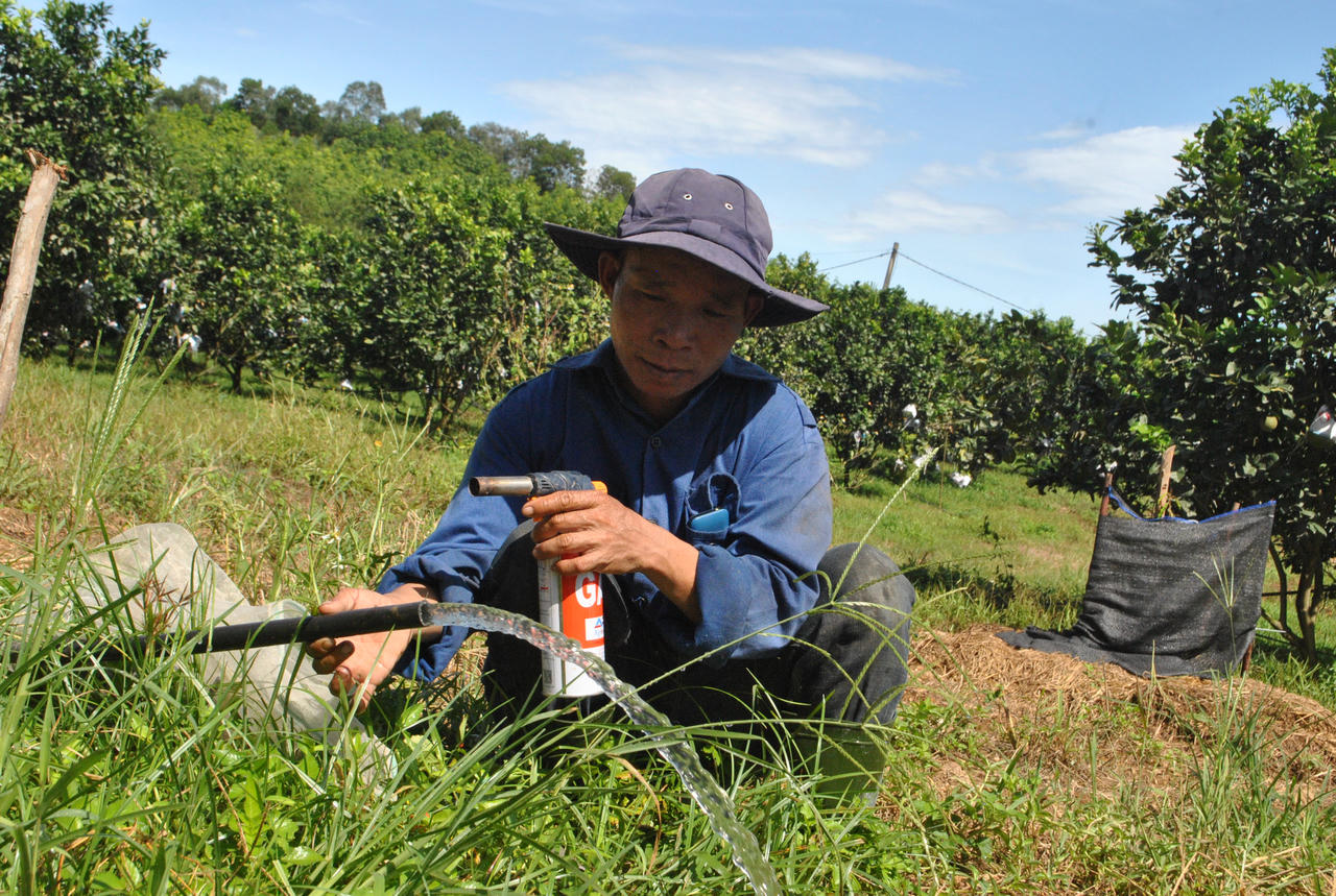 Trang trại xanh trên vùng 'đất lửa'