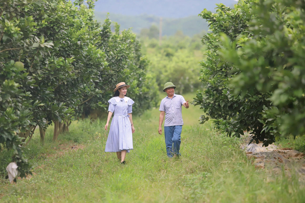 Trang trại xanh trên vùng 'đất lửa'