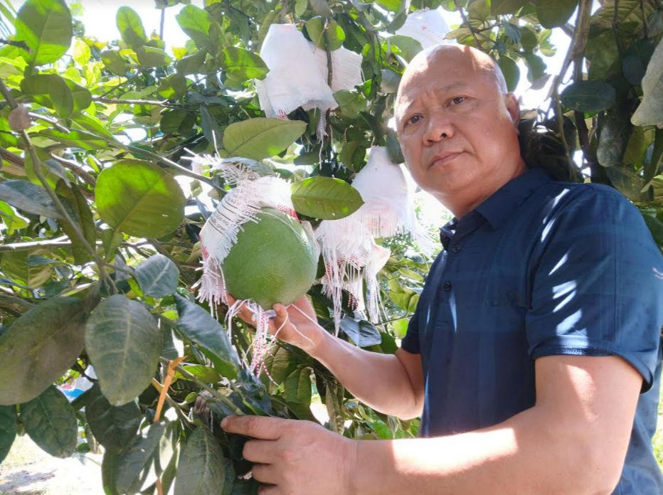 Trang trại xanh trên vùng 'đất lửa'