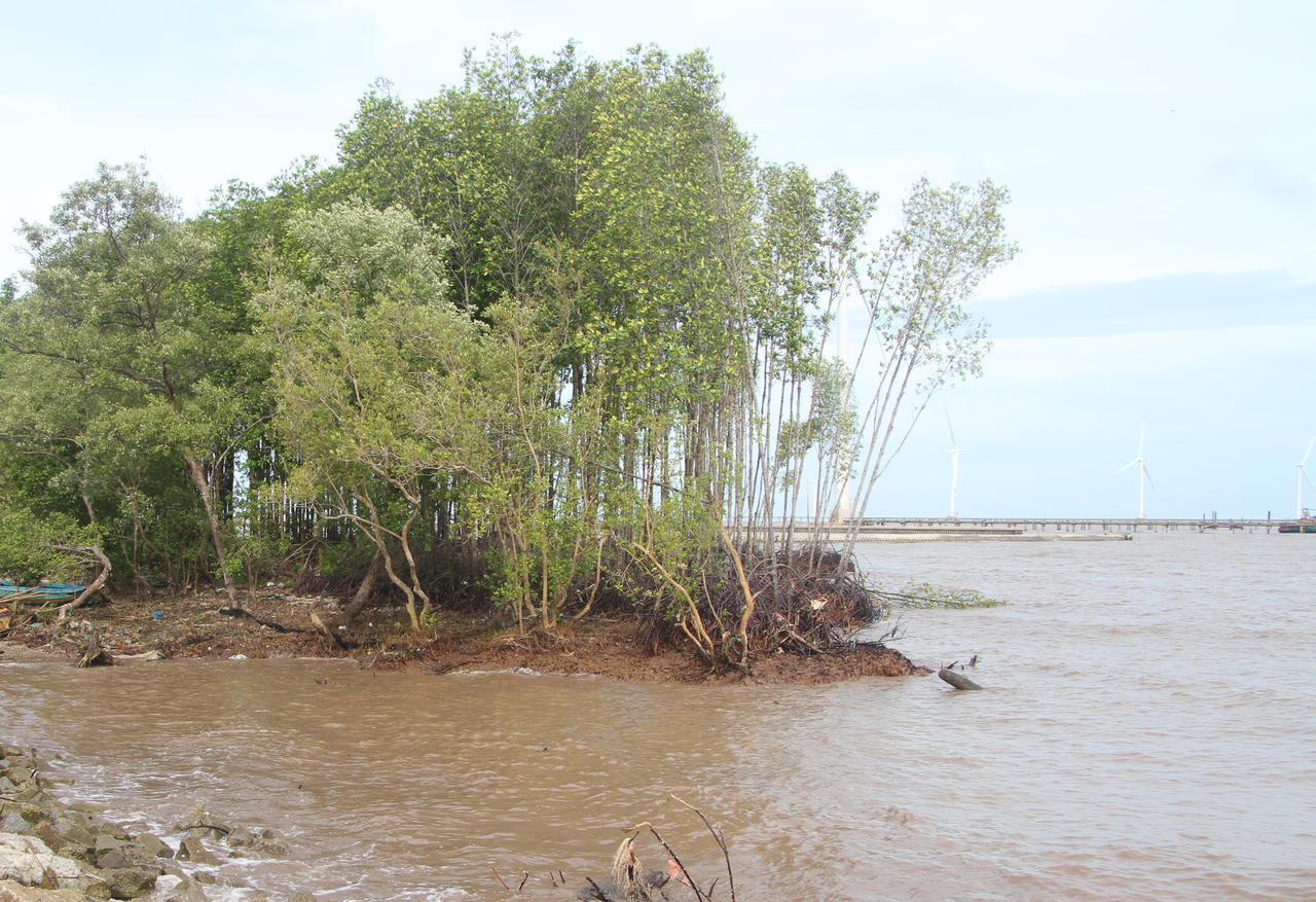 Sống bất an bên bờ sông Phước Giang