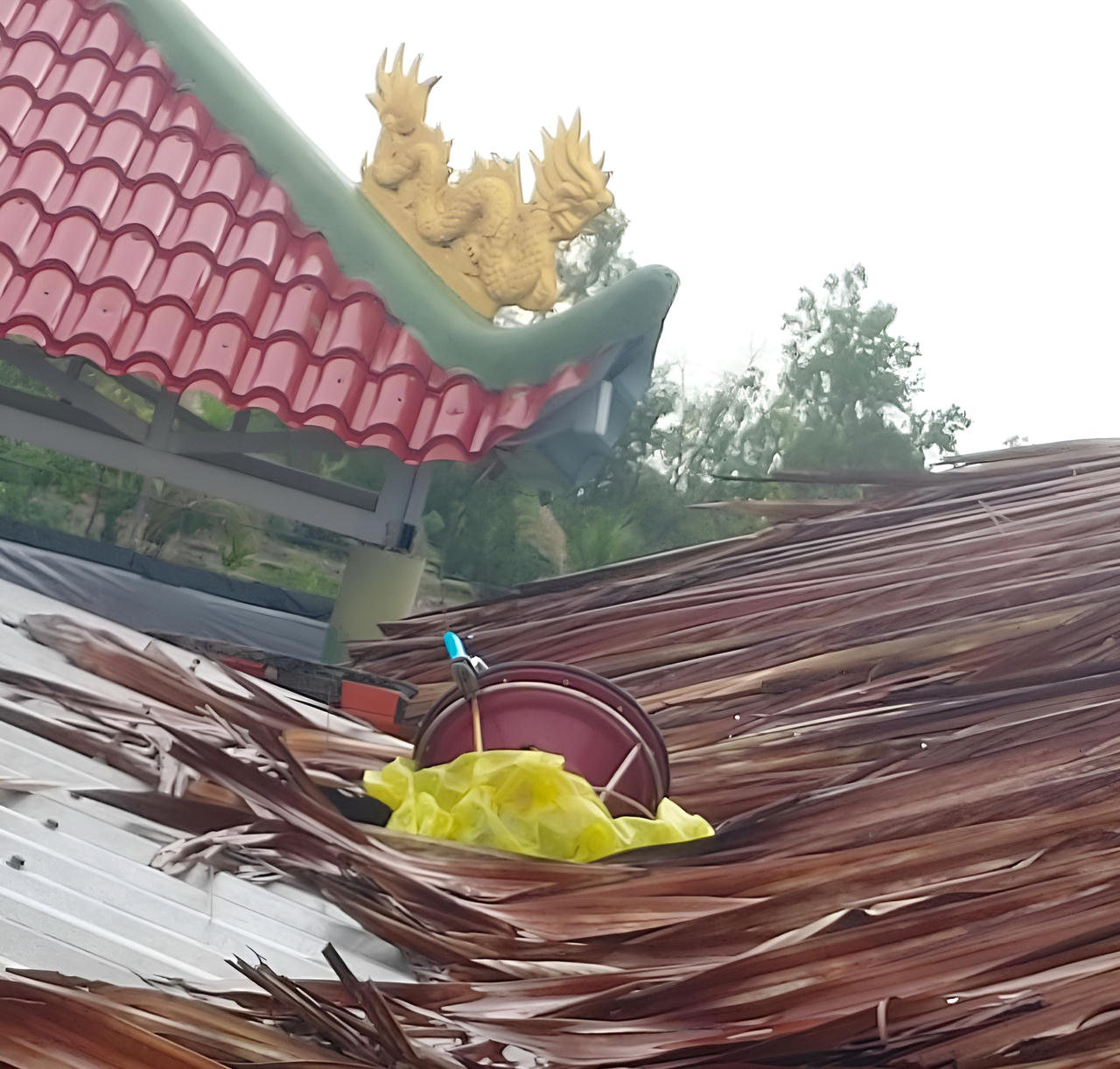 Phát hiện 2 tàu cá gửi thiết bị VMS trên… nóc nhà tại Cà Mau: Chi cục Kiểm ngư đề xuất Công an tỉnh điều tra