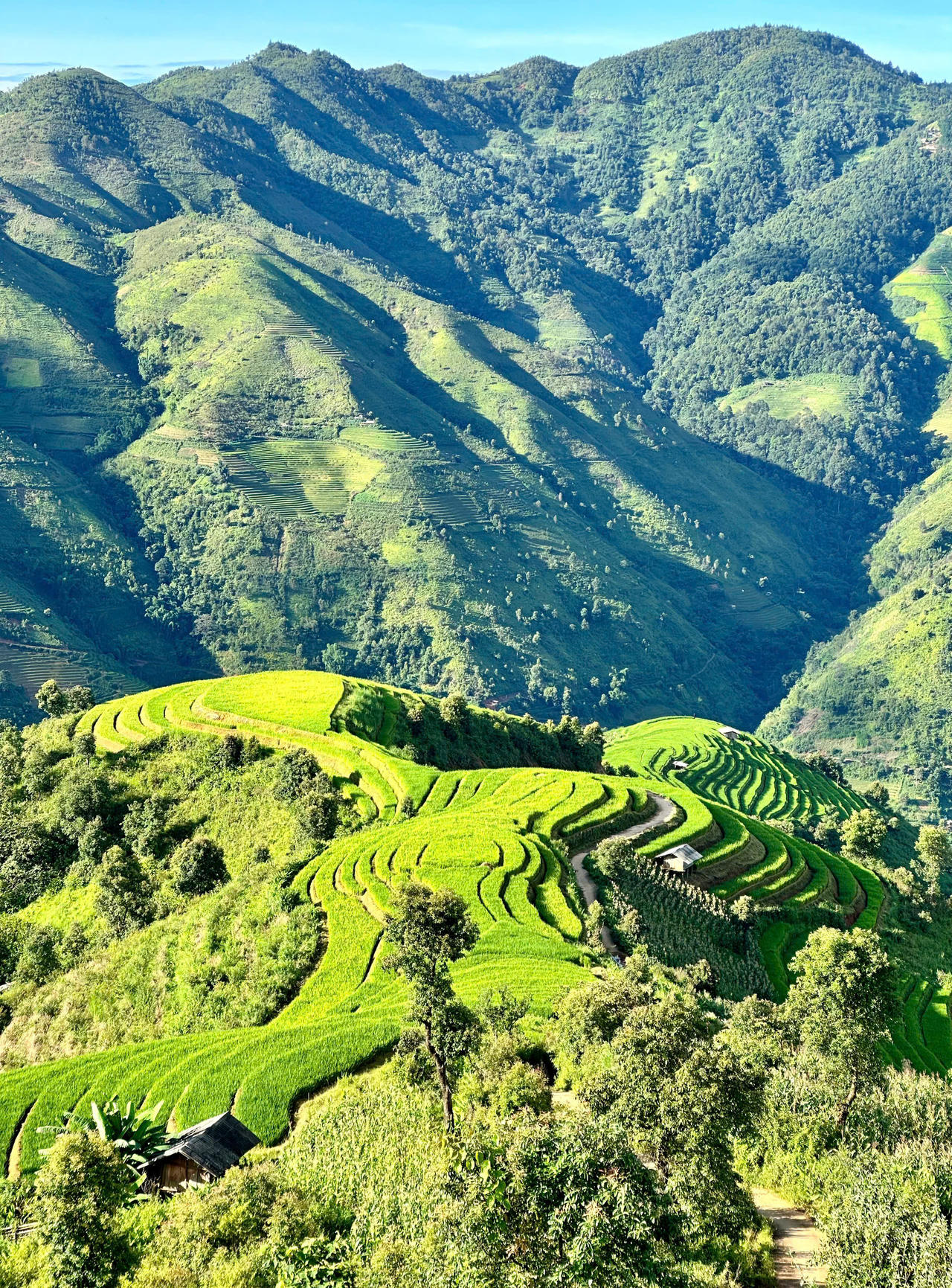 'Thiên đường mây Tà Xùa' những ngày không mây