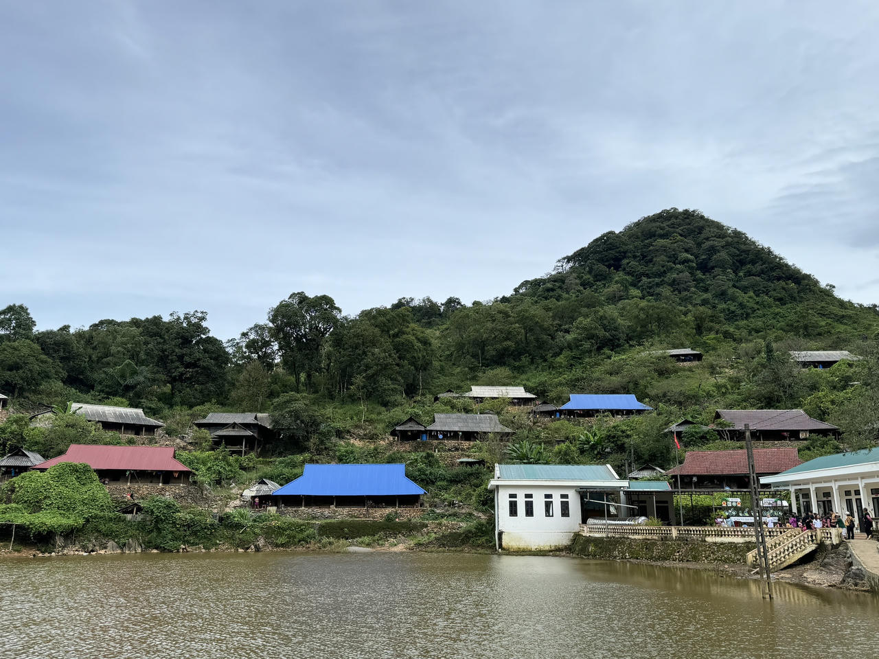 Tín chỉ carbon từ lâm nghiệp bền vững