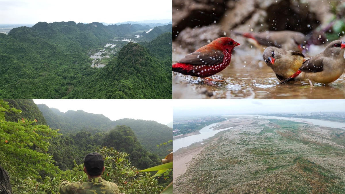 Đừng để giá trị đa dạng sinh học bị bỏ ngỏ 