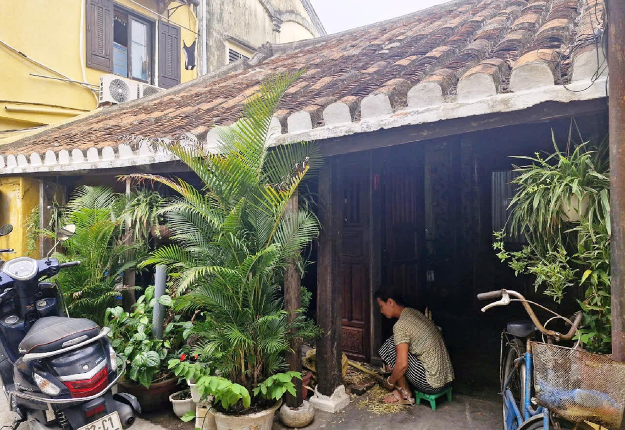 Sống thấp thỏm trong những căn nhà cổ chờ sập ở Hội An 