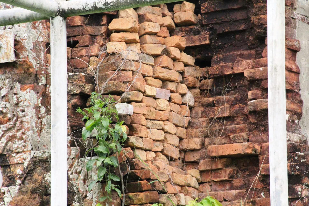 Quảng Nam: Chỉ đạo 'cứu' di tích Phật viện Đồng Dương theo thủ tục khẩn cấp