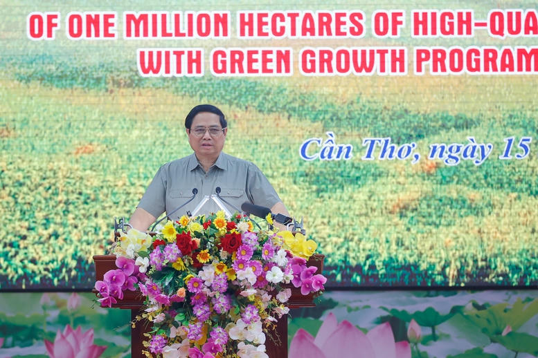 Thủ tướng chủ trì Hội nghị về Đề án một triệu héc-ta lúa chất lượng cao, phát thải thấp tại ĐBSCL