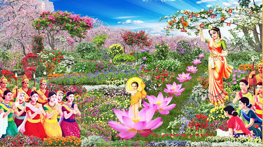 Đức Phật và những loại cây trong kinh điển