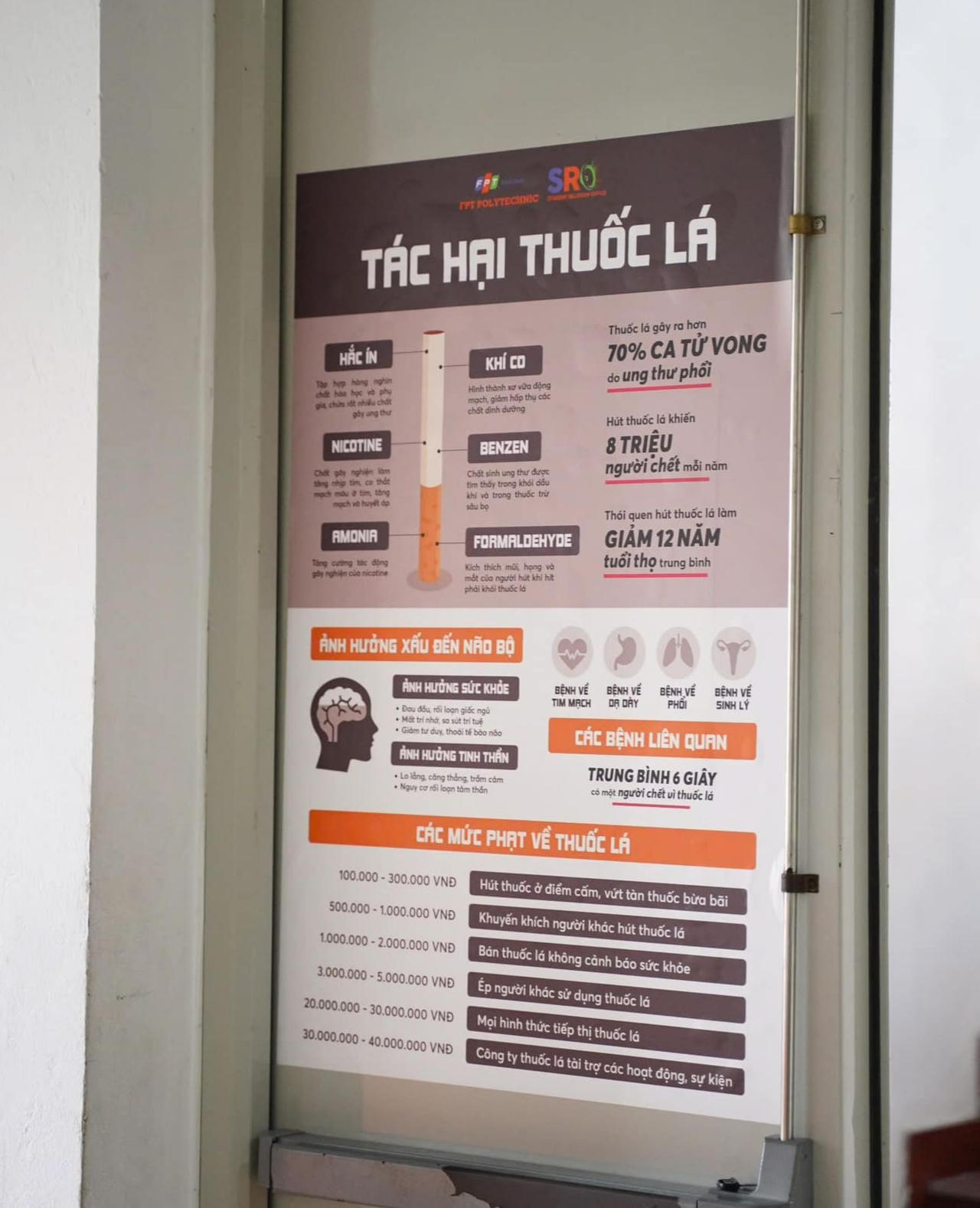 Các trường Đại học trên cả nước đang ngăn chặn tác hại của thuốc lá thế nào? 