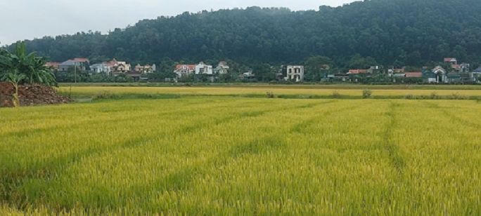 Diễn biến sự việc tại dự án Thành Lộc (Thanh Hóa): Phòng Cảnh sát kinh tế thông báo kết quả giải quyết