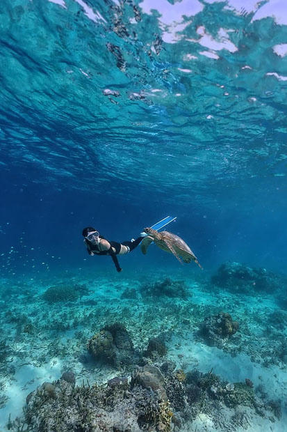 Vũ điệu của đại dương