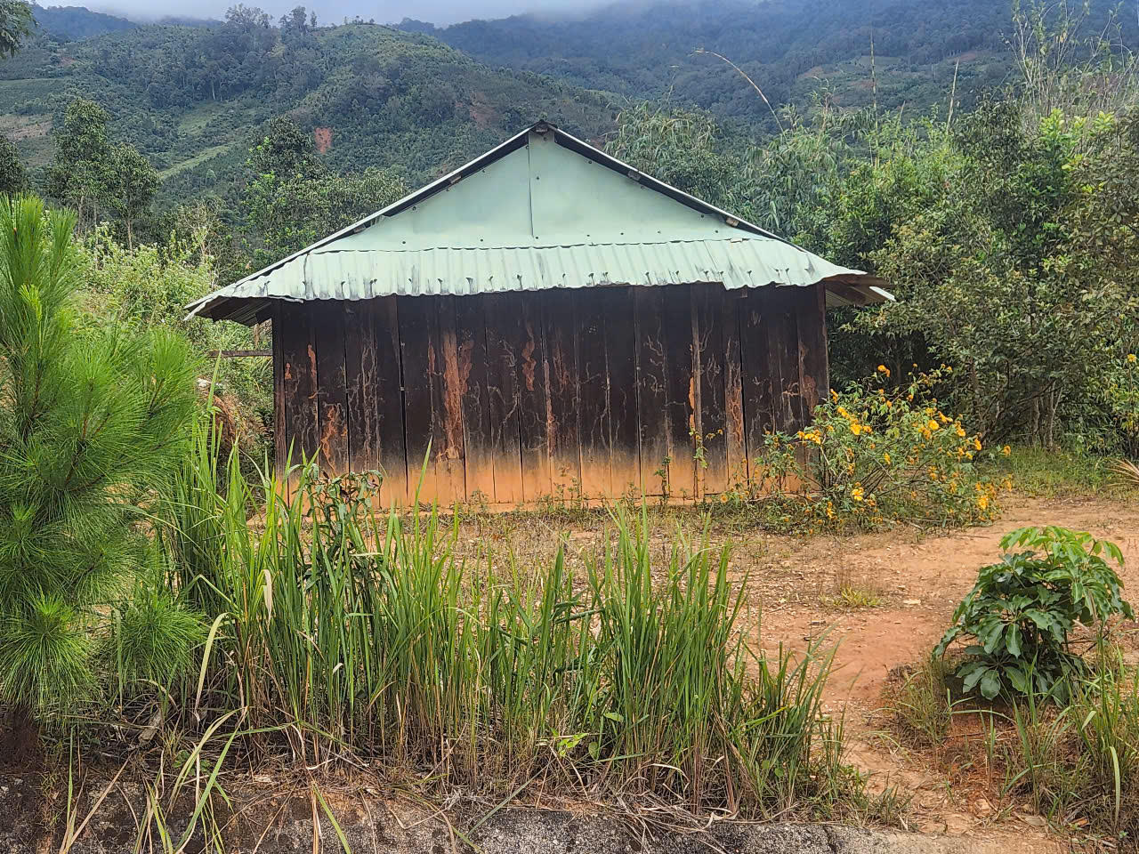 Khu tái định cư bị bỏ hoang tại Kon Tum: Bài 2 - UBND huyện Tu Mơ Rông đề xuất chuyển sang phát triển du lịch 