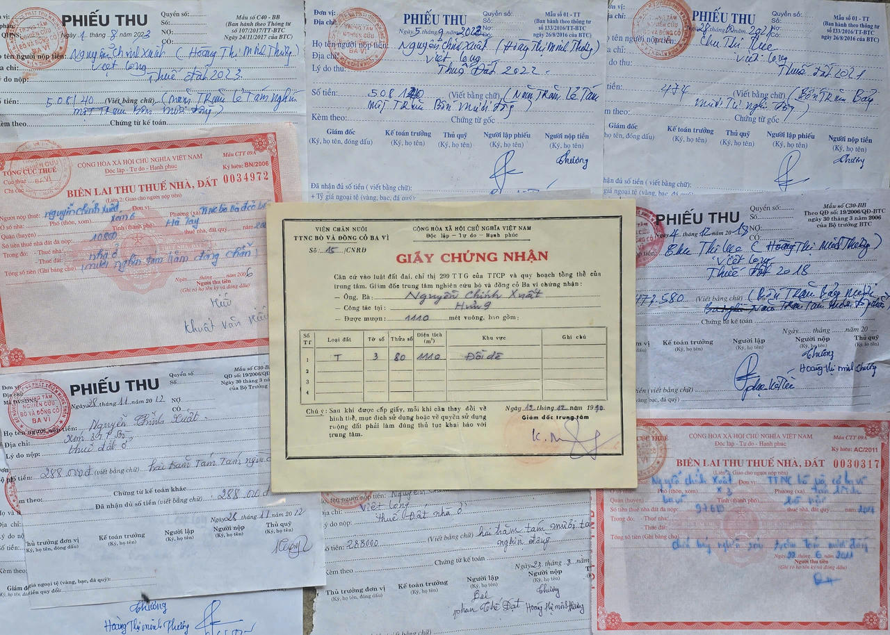 Sự việc bồi thường đất khu vực Trung tâm nghiên cứu dê và thỏ Sơn Tây (Hà Nội): Đại diện UBND phường 'mong muốn có cơ chế đặc thù” với các hộ bị thu hồi đất