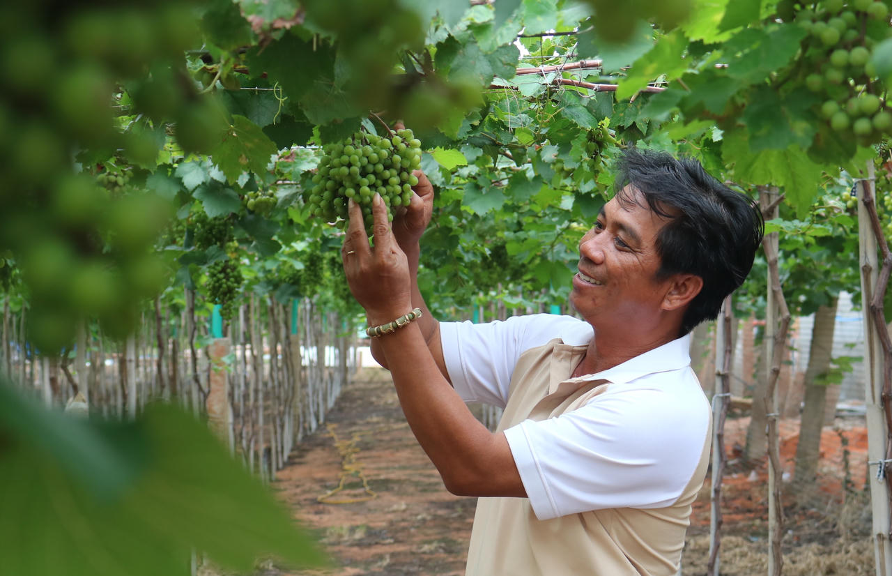 Biến 'sa mạc' khô hạn thành những vườn xanh tươi tốt