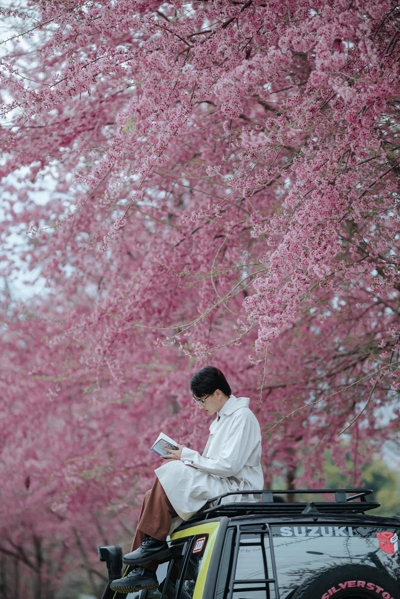 Những địa điểm du Xuân đẹp như mơ ở miền Bắc