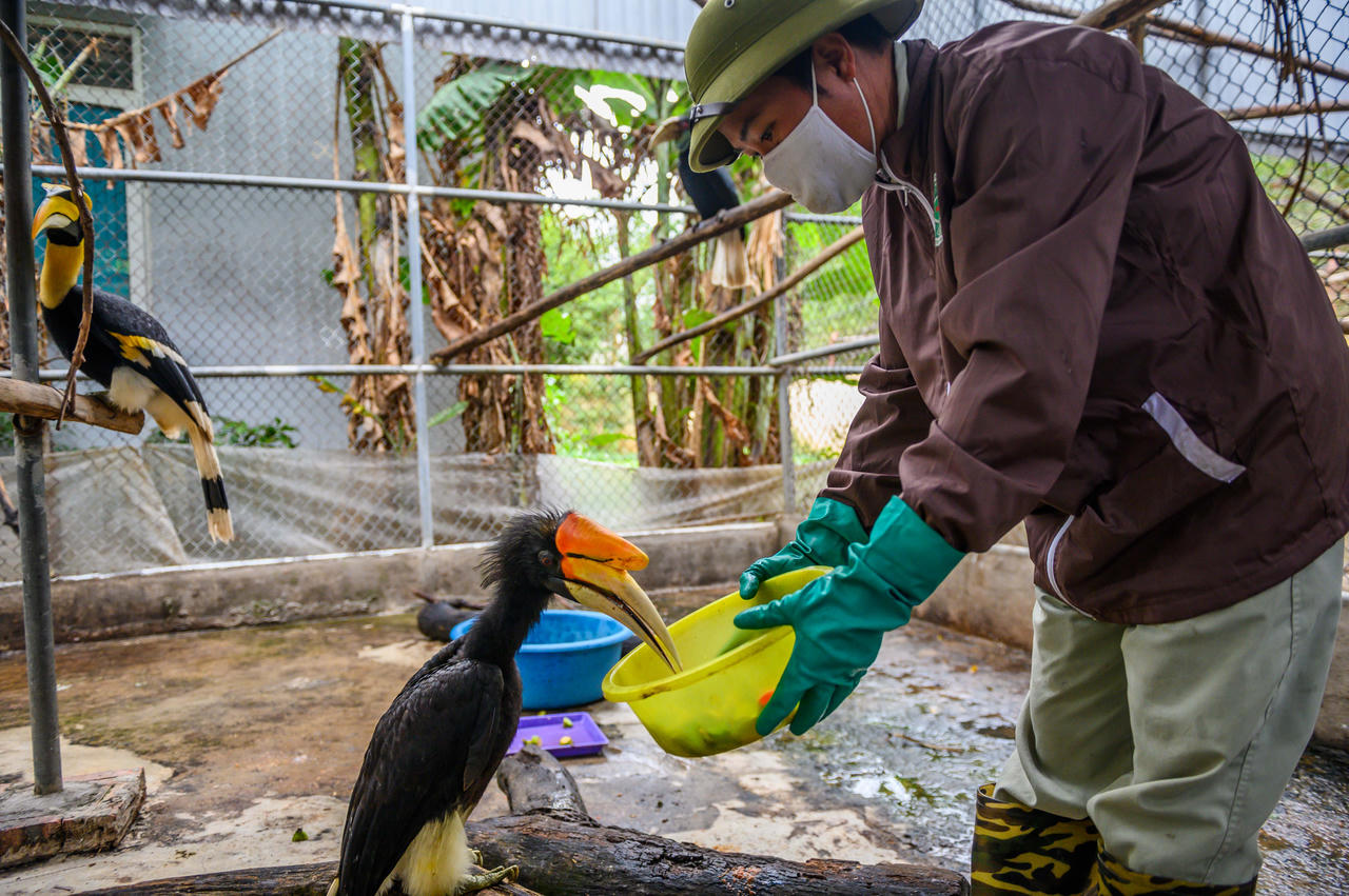 Chữa lành những vết thương của thiên nhiên