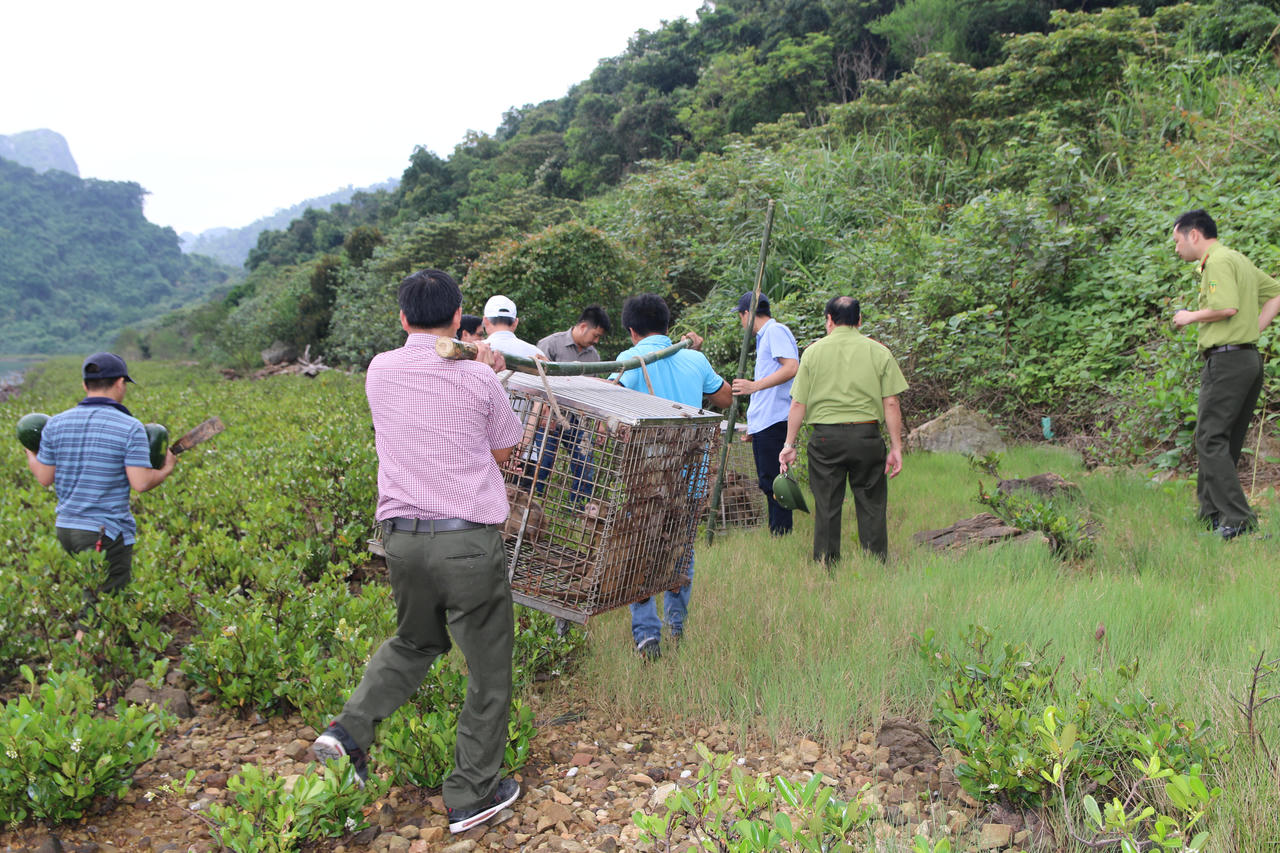 Chữa lành những vết thương của thiên nhiên