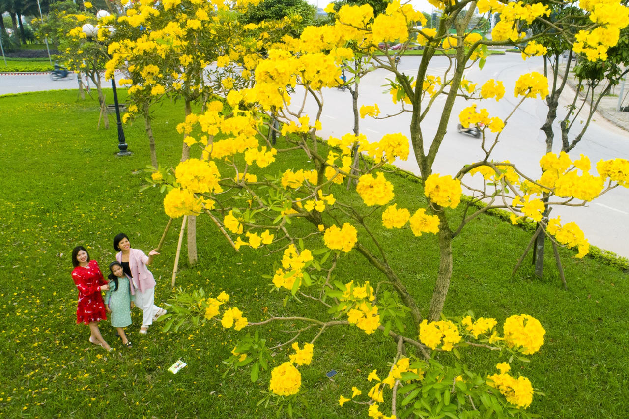 Thành phố của bóng mát