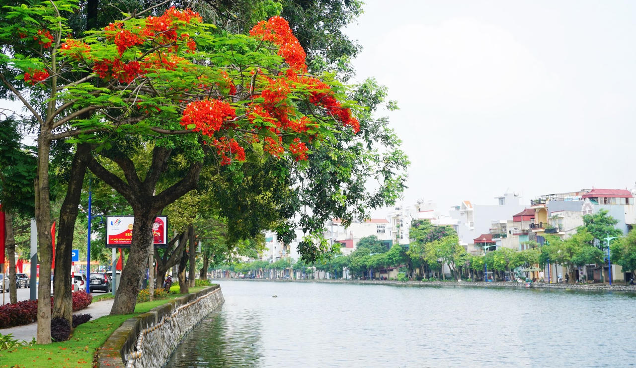 Thành phố của bóng mát