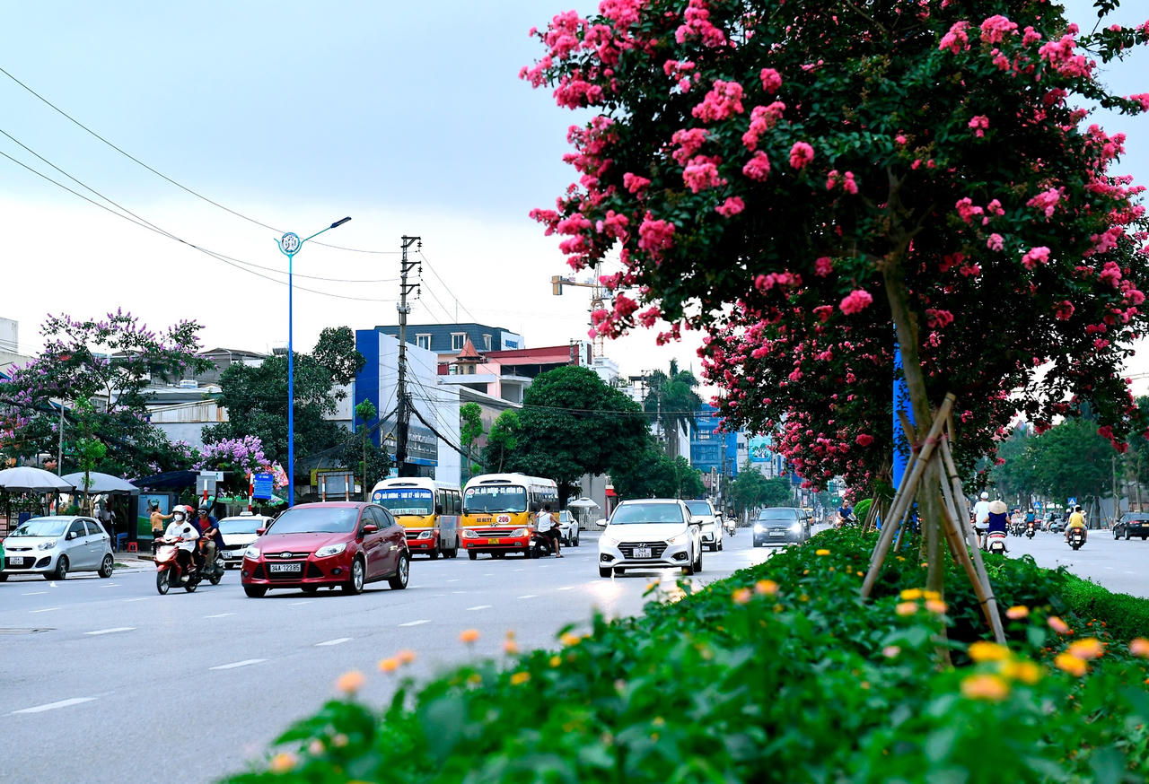 Thành phố của bóng mát