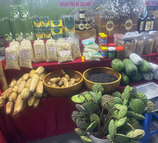 Hương sen 'nét ngài'