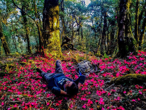 Leo núi để tìm về 'thiên đường' bình yên