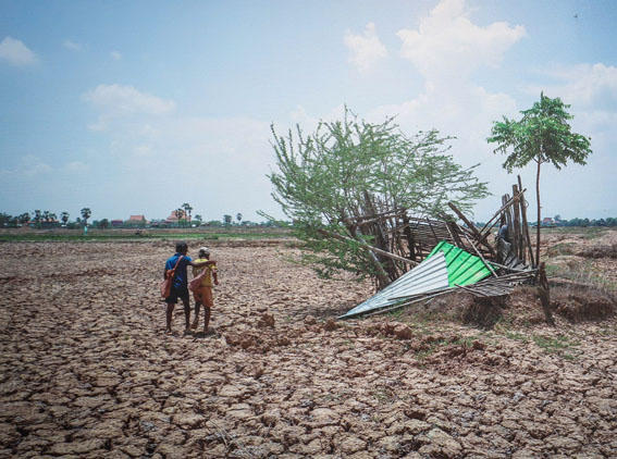 Khi nghệ thuật hành động để bảo vệ trái đất
