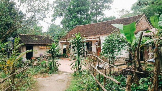 'Ẩm thực mẹ làm' chạm tới trái tim