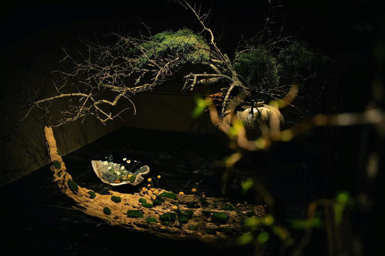 Khi khí chất đẹp đẽ nhất của hoa được cảm nhận