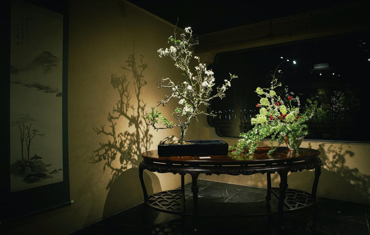 Khi khí chất đẹp đẽ nhất của hoa được cảm nhận