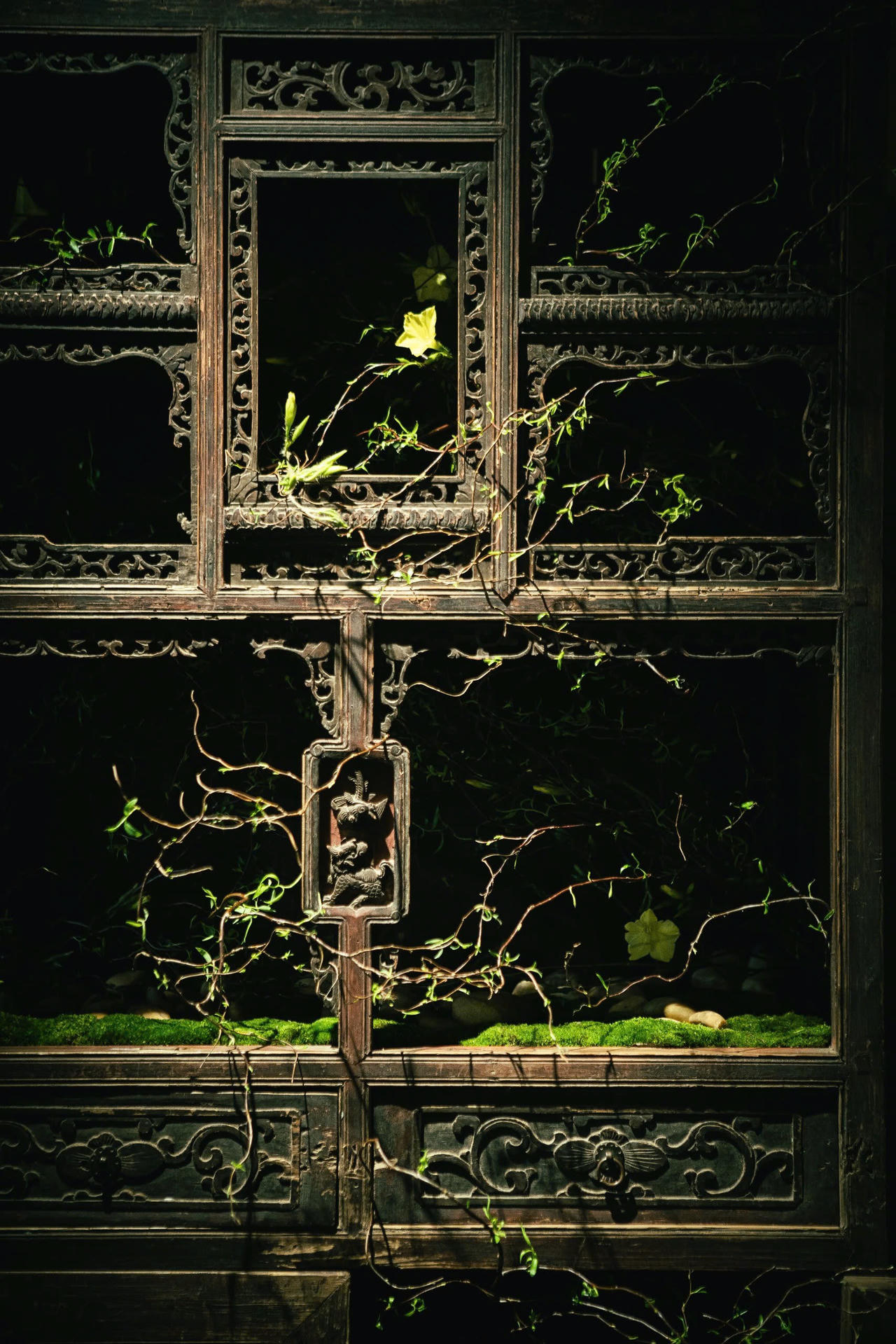 Khi khí chất đẹp đẽ nhất của hoa được cảm nhận