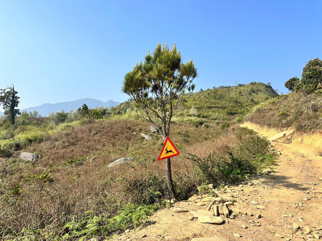 Hoàn thành công tác tiền trạm cho giải leo núi 'Bước chân trên mây' lần II - Chinh phục đỉnh Tà Xùa