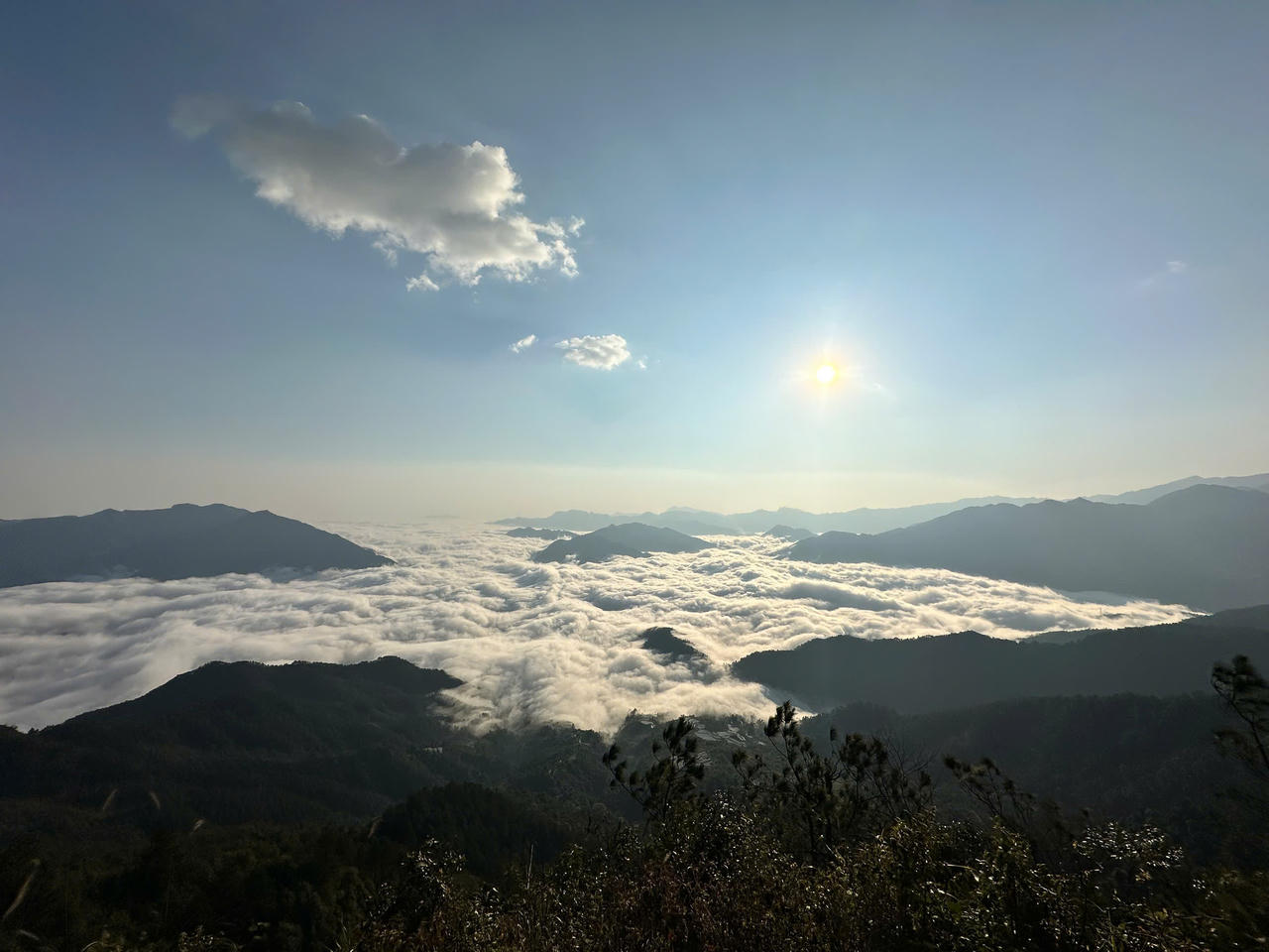 Chiêm ngưỡng thiên đường mây và hoa đỗ quyên trong hành trình chinh phục đỉnh Tà Xùa