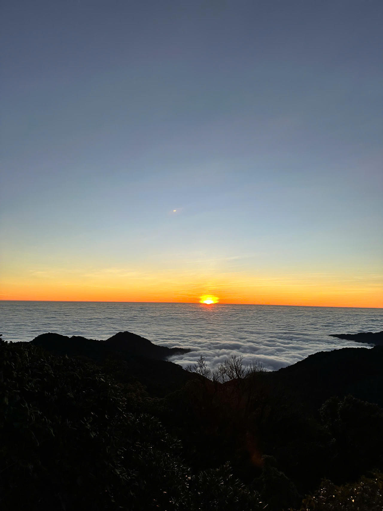 Chiêm ngưỡng thiên đường mây và hoa đỗ quyên trong hành trình chinh phục đỉnh Tà Xùa