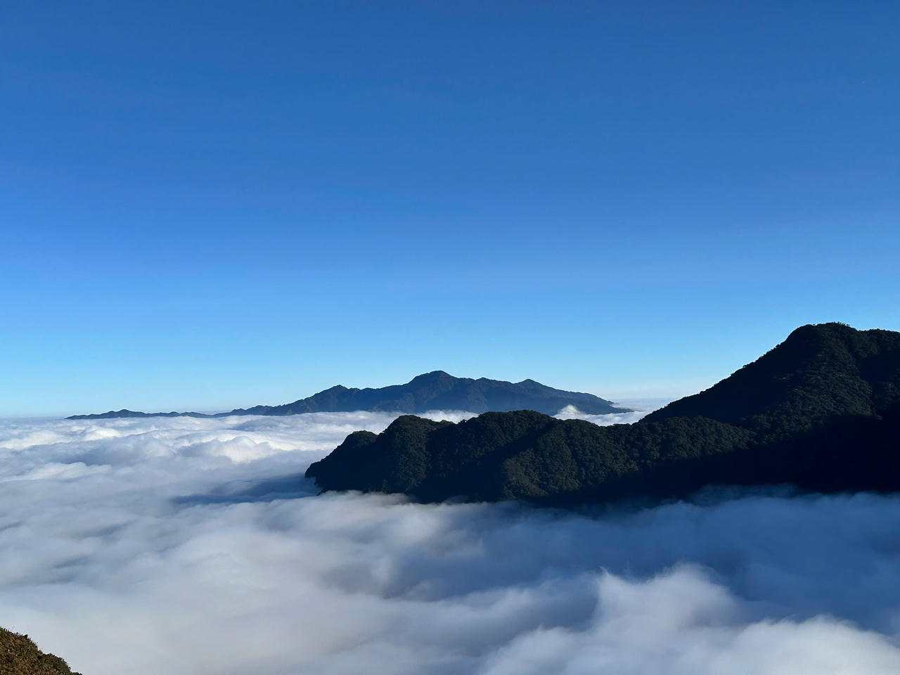 Chiêm ngưỡng thiên đường mây và hoa đỗ quyên trong hành trình chinh phục đỉnh Tà Xùa