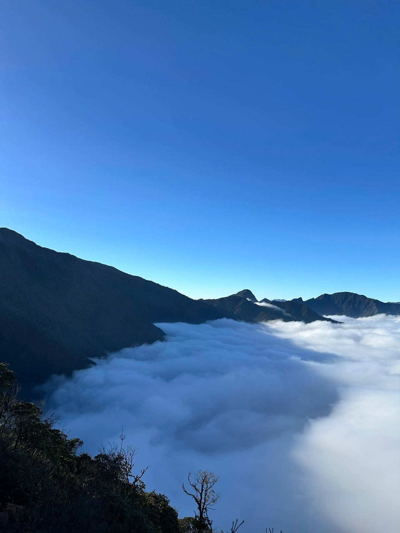 Chiêm ngưỡng thiên đường mây và hoa đỗ quyên trong hành trình chinh phục đỉnh Tà Xùa