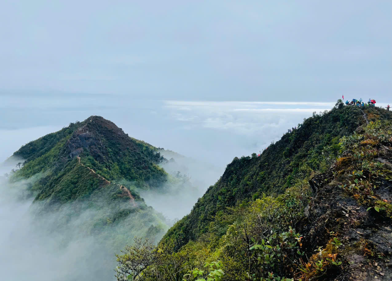 Mãn nhãn trong chuyến "săn mây" thành công của 100 nhà báo chinh phục đỉnh Tà Xùa