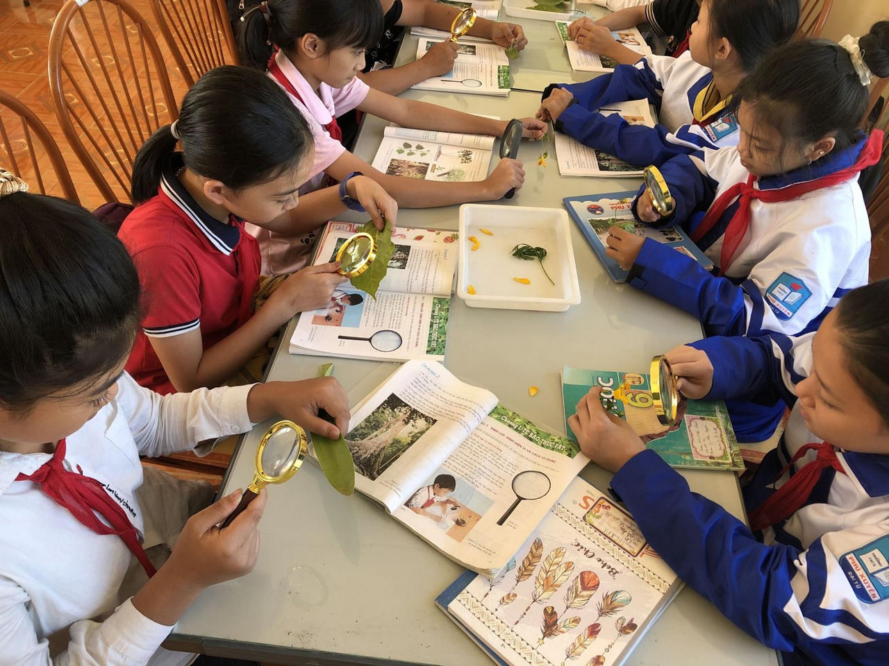 Học 2 buổi/ngày: Cần thiết nhưng phải được triển khai bài bản