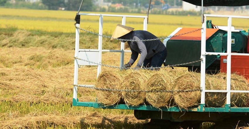 TP Huế: Ráo riết xử lý hành vi đốt rơm rạ ngoài đồng 