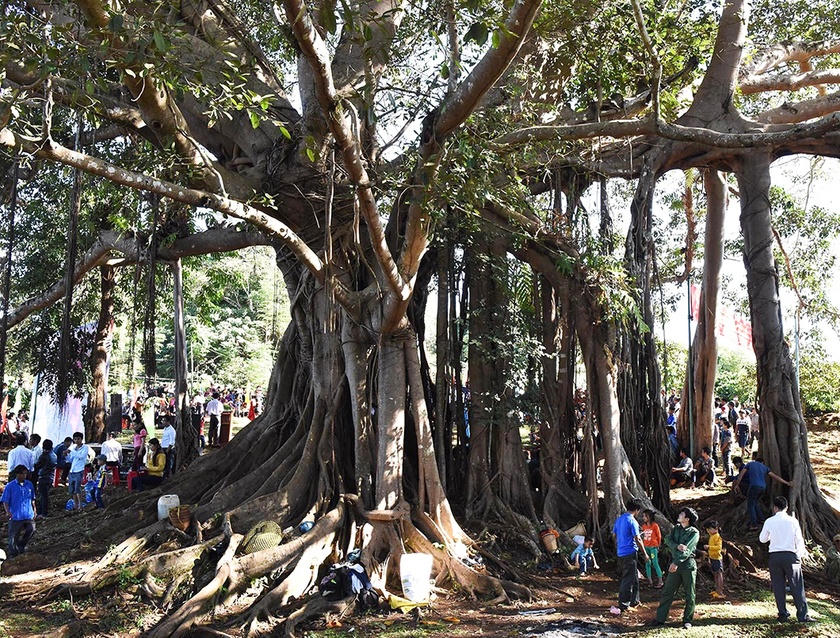 Đức Cơ khơi thông tiềm năng, lợi thế, kiến tạo động lực tăng trưởng mới