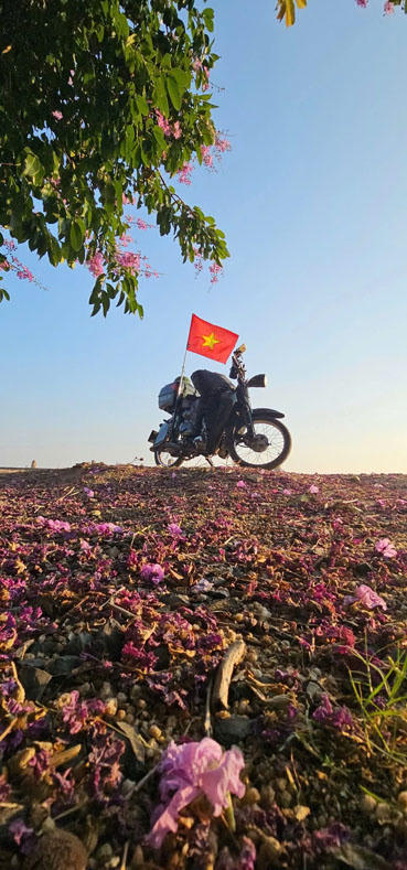 'Đất nước tôi, thon thả giọt đàn bầu'...