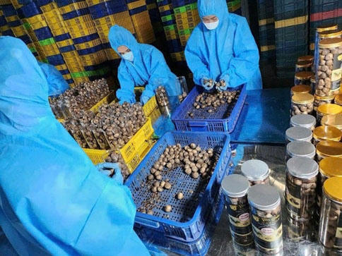 Người trẻ truyền cảm hứng khởi nghiệp 'xanh'