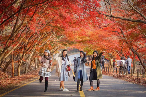 Các quốc gia đẩy mạnh thu hút du khách Việt