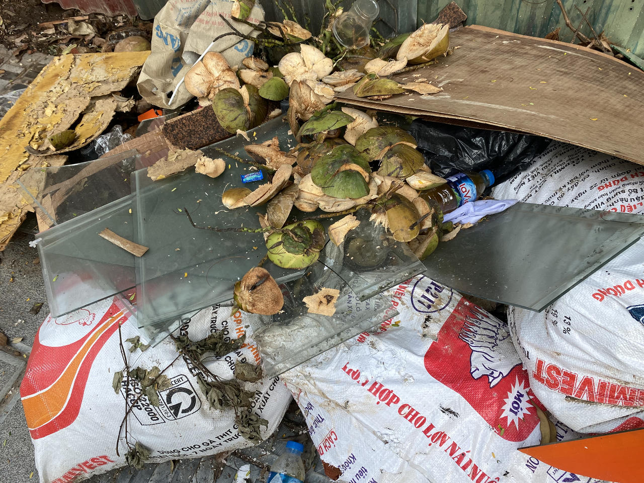 Ngổn ngang rác thải một số cổng viện, vườn hoa Hà Nội