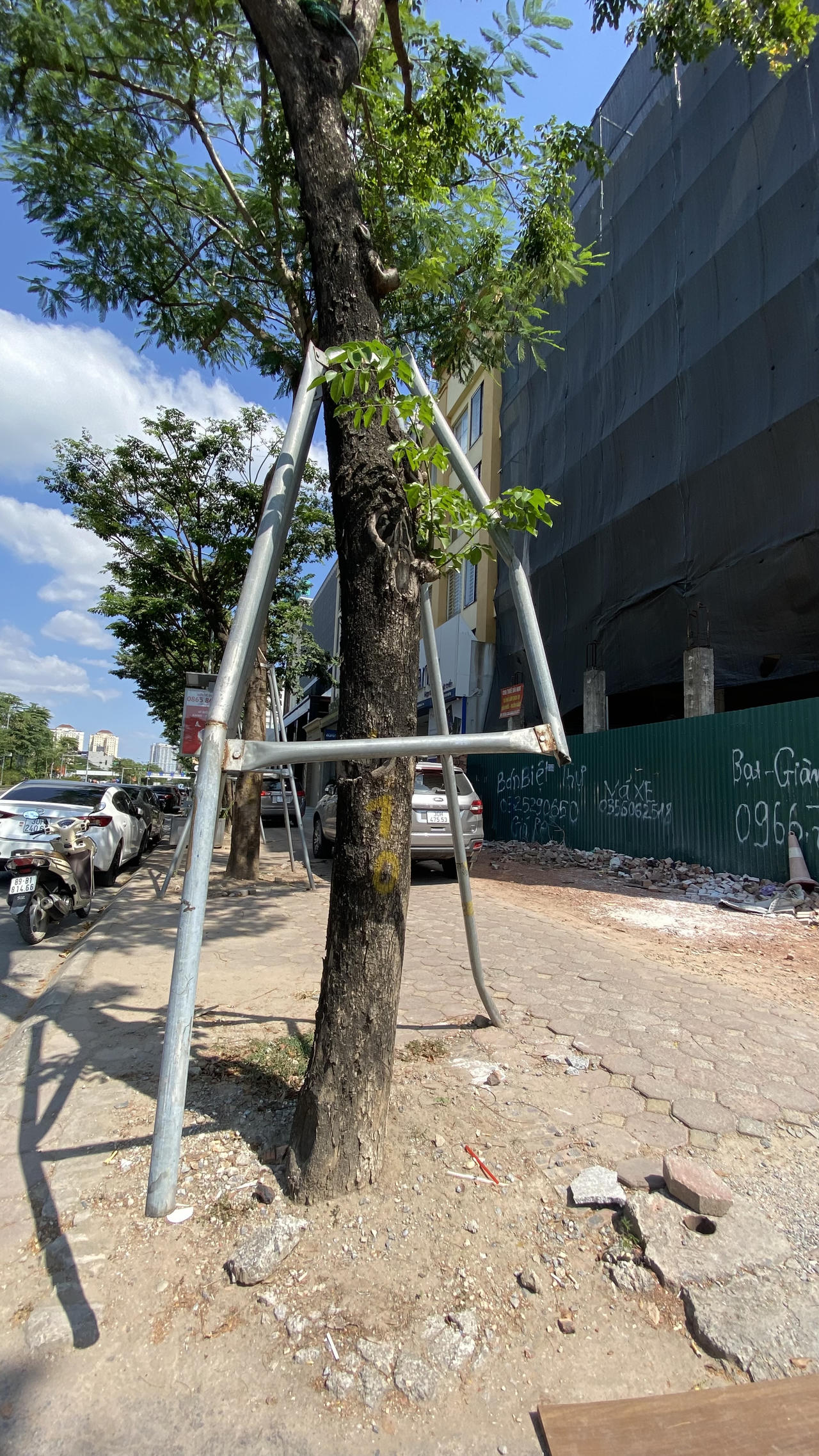 Loạt cây xanh bị 'đeo gông siết cổ' ở nội thành Hà Nội