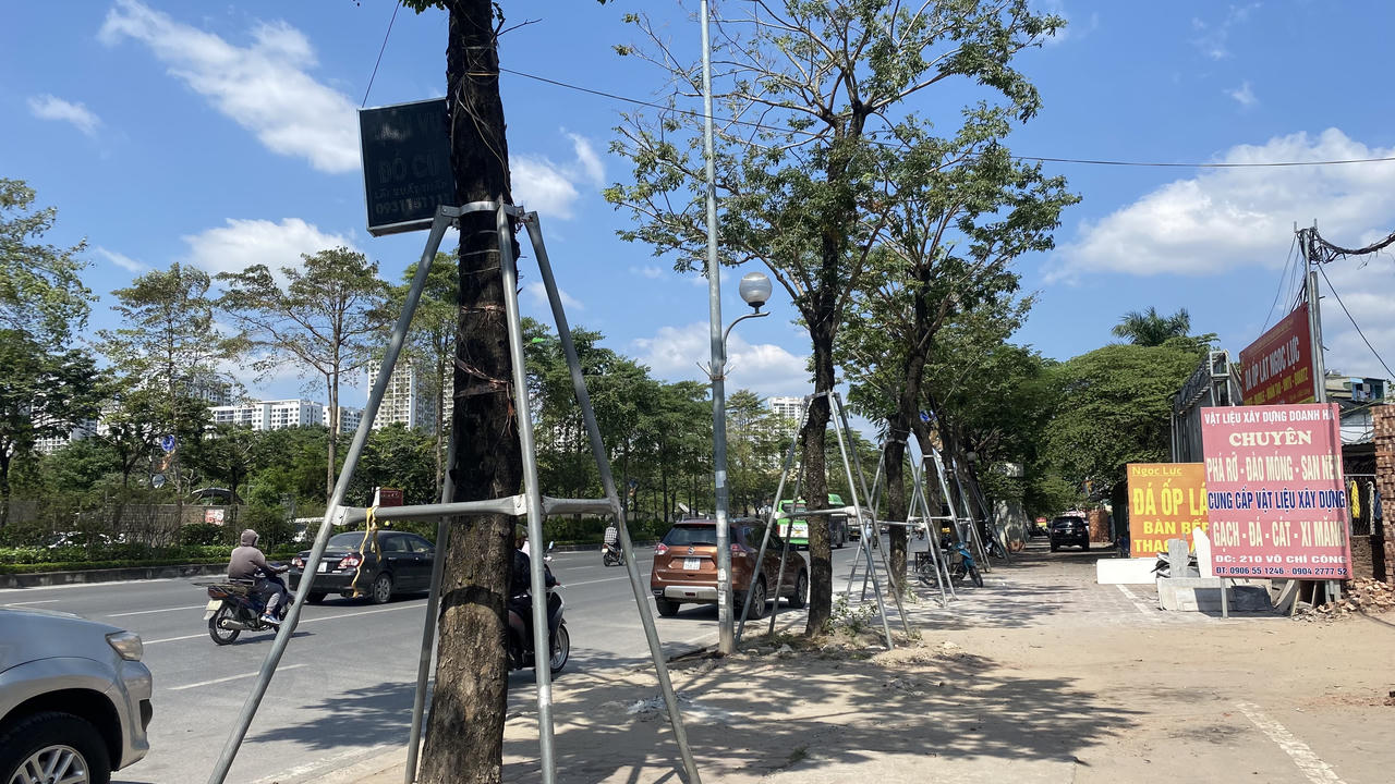 Loạt cây xanh bị 'đeo gông siết cổ' ở nội thành Hà Nội